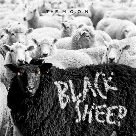 Black Sheep Album By The M O O N Spotify