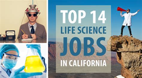 Top 14 Life Science Jobs In California Biospace