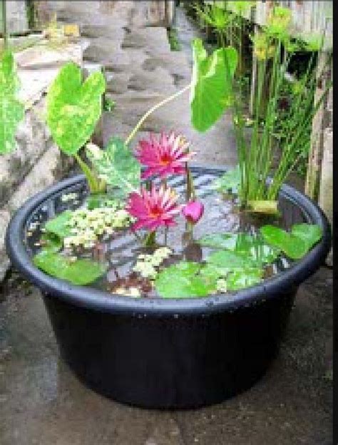 How To Make A Container Water Garden