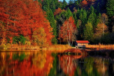 Autumn Scene Fall Trees Tranquil Serenity Cabin Lake Colorful