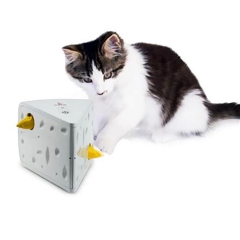 Petsafe Cheese Cat Toy With Same Day Shipping Baxterboo