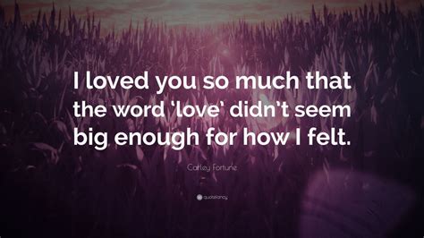 Carley Fortune Quote I Loved You So Much That The Word Love Didnt