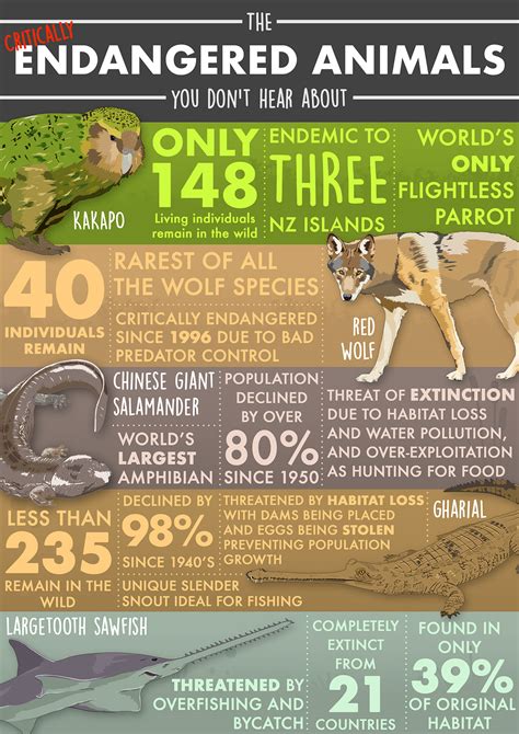 Infographic Endangered Animals From Around The World Vrogue