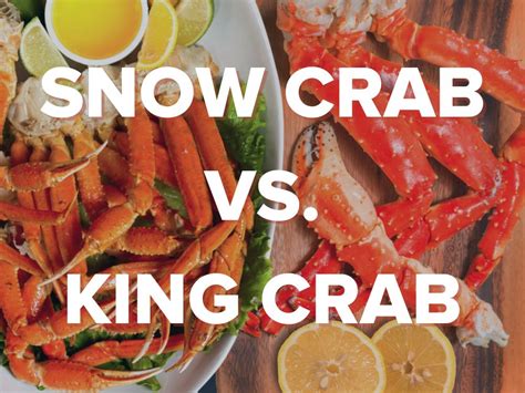 Long Arm Of The Claw The Difference Between King Crab Vs Snow Crab