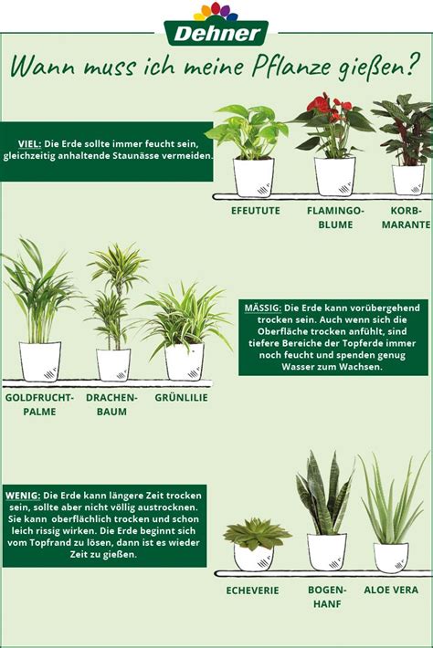 Bei coop bau+hobby finden sie alle produkte, die sie für die nächste gartensaison brauchen. Wie oft welche #Pflanze gießen ist bei vielen die große ...