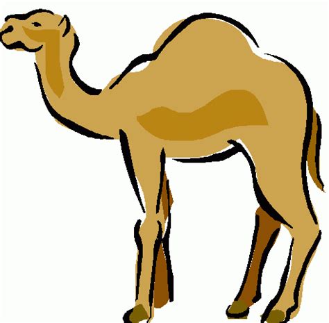 Find the perfect one hump camel stock photo. Free Camel Images, Download Free Clip Art, Free Clip Art ...