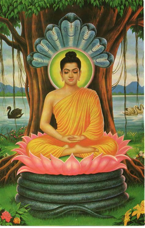 The life story of the buddha begins in lumbini, near the border of nepal and india, about 2,600 years ago, where the man siddharta gautama was born. wallpaper 7: Gautama Buddha Wallpapers
