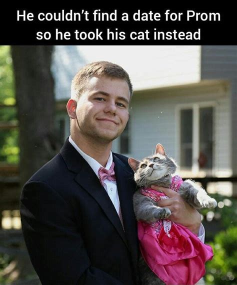 Find Yourself Someone Who Looks At You Like This Cat Does Rmemes