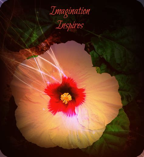 Imagination Inspires! #quotestoinspire | Inspirational quotes, Inspiration, Imagine