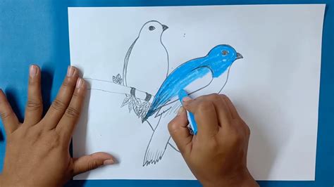 How To Draw A Blue Bird Easy Step By Step Tutorial Blue Bird Drawing