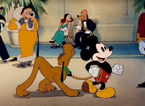 Society Dog Show Pluto Disney Disney World Disney Time Disney Movies