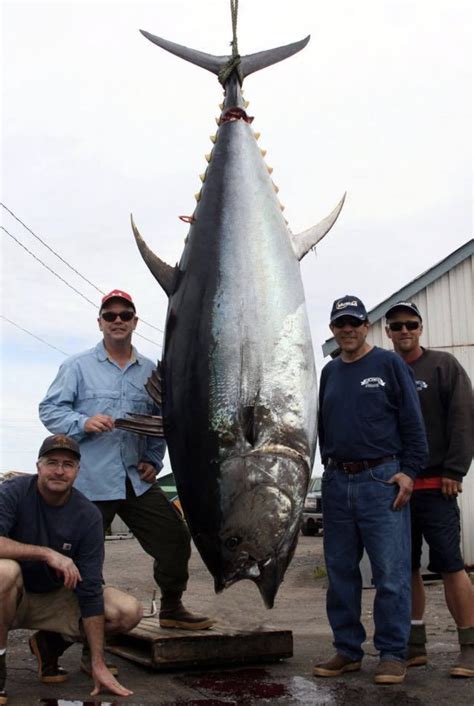 What Is The Biggest Fish Caught By The Wicked Tuna Cast The Us Sun