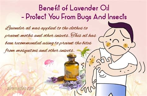 Wash and shampoo hair as usual. 22 Benefits Of Lavender Oil For Hair, Skin, And Health