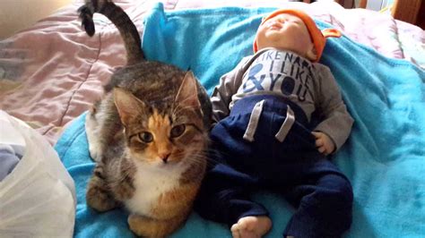 Cat Loves Reborn Baby Youtube