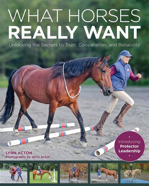 Interpreting Unwanted Behavior In Your Horse Horse Nation Horse
