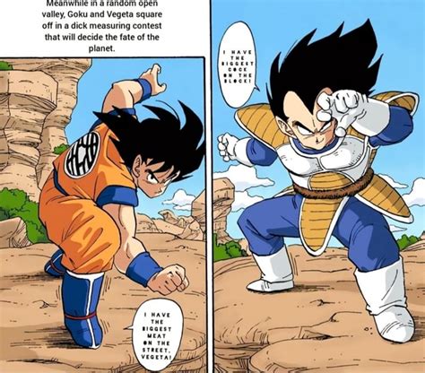 meanwhile in a random open valley goku and vegeta square off in a dick measuring contest that