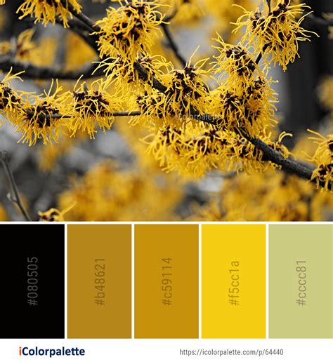 Color Palette ideas from 191 Autumn Images | iColorpalette | Fall color palette, Color balance ...