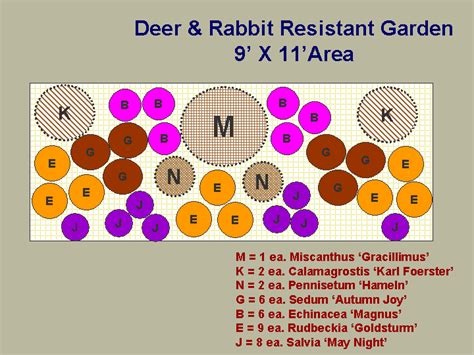 We've compiled our list below of deer resistant garden perennial plants that deer tend to avoid. "growing for you.com"