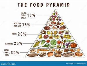 Food Pyramid For Balanced Diet Guillory Riset