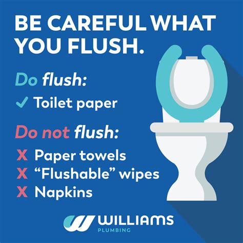 Faq What Is Safe To Flush Down The Toilet Williams Plumbing
