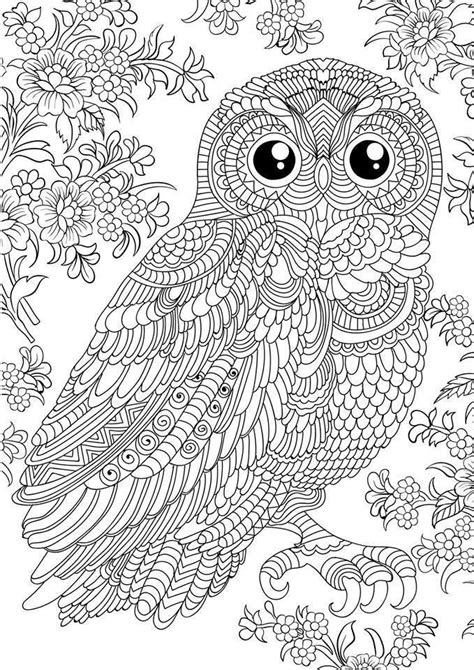 Top 23 Printable Owl Coloring Pages for Adults Best Coloring Pages