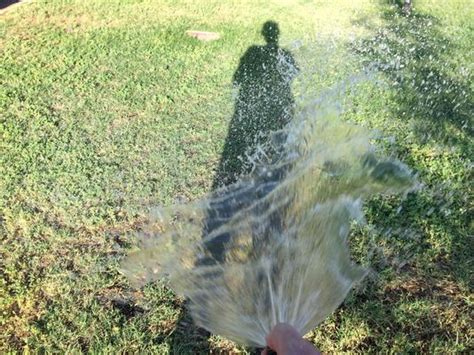 How to water your lawn: Put Down The Hose & Back Away Slowly From The Lawn - Hand Watering Lawn