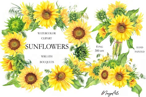 Download Sunflowers Bouquets, Flower Wreath Clipart, Watercolor (683988) | Illustrations | Design Bundles