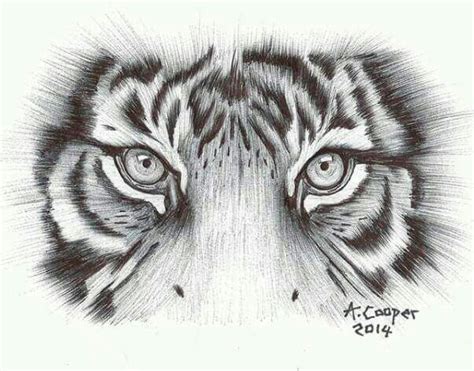 Tiger Eyes 2014 Tiger Eyes Tattoo Tiger Tattoo Design Eye Tattoo