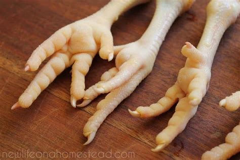 How To Peel Chicken Feet And Prepare Them To Cook • New Life On A
