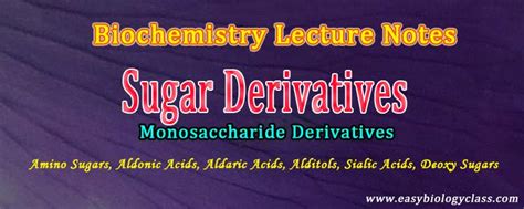 Sugar Derivatives Easybiologyclass