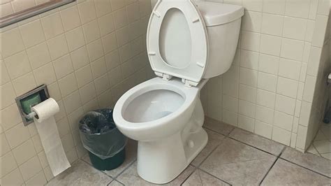 Elongated Niagara Stealth Toilet Youtube