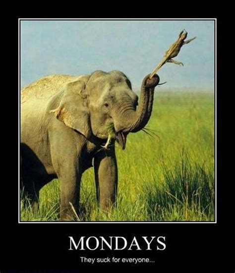 At memesmonkey.com find thousands of memes categorized into thousands of categories. 20 Monday Memes | Thug Life Meme