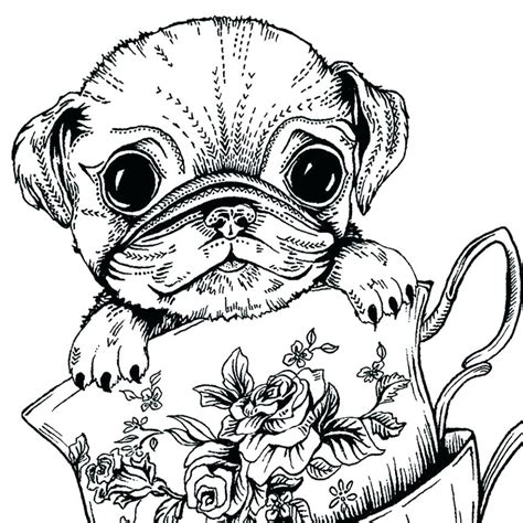Pug Coloring Pages To Print at GetDrawings | Free download