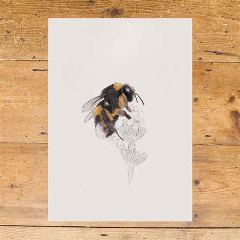 Bumblebee Print By Ben Rothery Illustrator