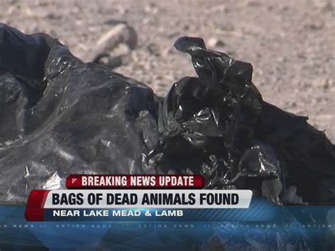 Bags Of Dead Animals Found Roadside