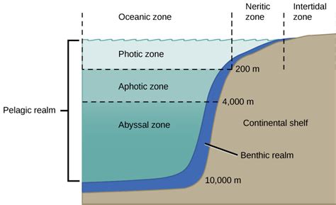 Characteristics Of Aquatic Biomes Biology For Majors Ii