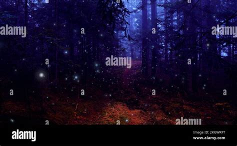 Dark Violet Scary Misty Forest Fairy Tale Landscape With Fireflies