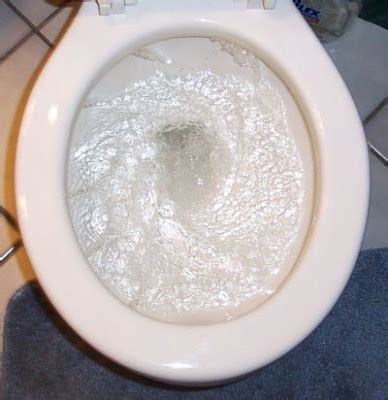 Help Fix My Gurgling Toilet!