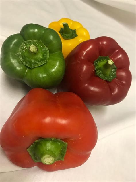 Development - Photography