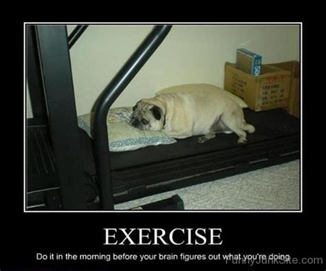 Funny Exercise Pictures I Am Tired