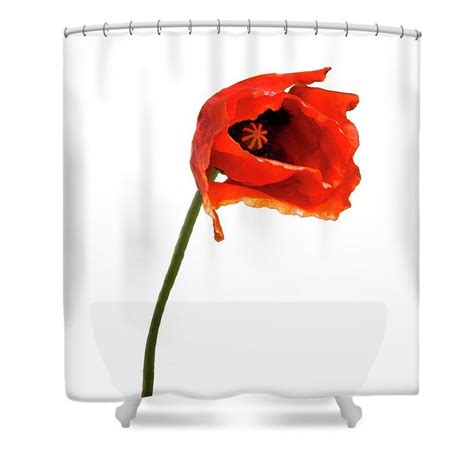 Red Poppy Flower Shower Curtain By Haley Redshaw Flower Shower