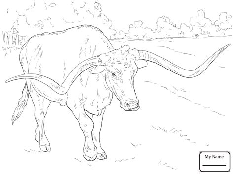 Bucking Bull Coloring Pages At Free Printable
