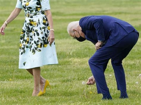 Joe biden is the 46th president of the united states. Biden und das Blümchen - Überregionales - Ludwigsburger ...