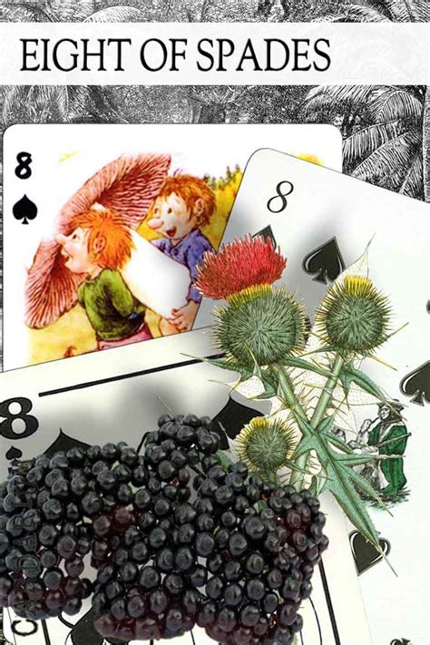 The goal of any individual round of spades is to get at least the number of tricks you bid at the start of spades are always trumps, which means they win over all other suits. 8 of Spades meaning in Cartomancy and Tarot - ⚜️ Cardarium ⚜️