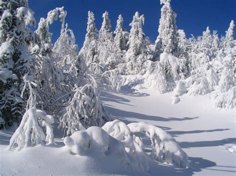 Check spelling or type a new query. Hiver au Québec en photo