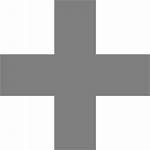 Plus Icon Gray Icons Custom Math