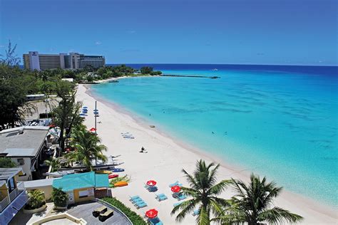 an aerial view of a beach with blue water and palm trees