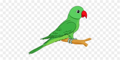 Flying Green Parrot Clipart Magicheft