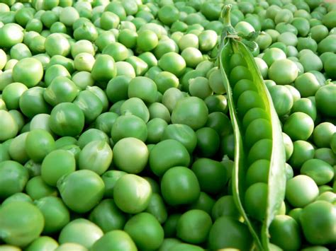 Ervilha é Fruta Ou Legume
