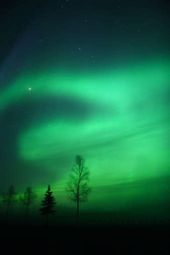 Aurora Over Fairbanks Ak Stock Photo Download Image Now Alaska Us